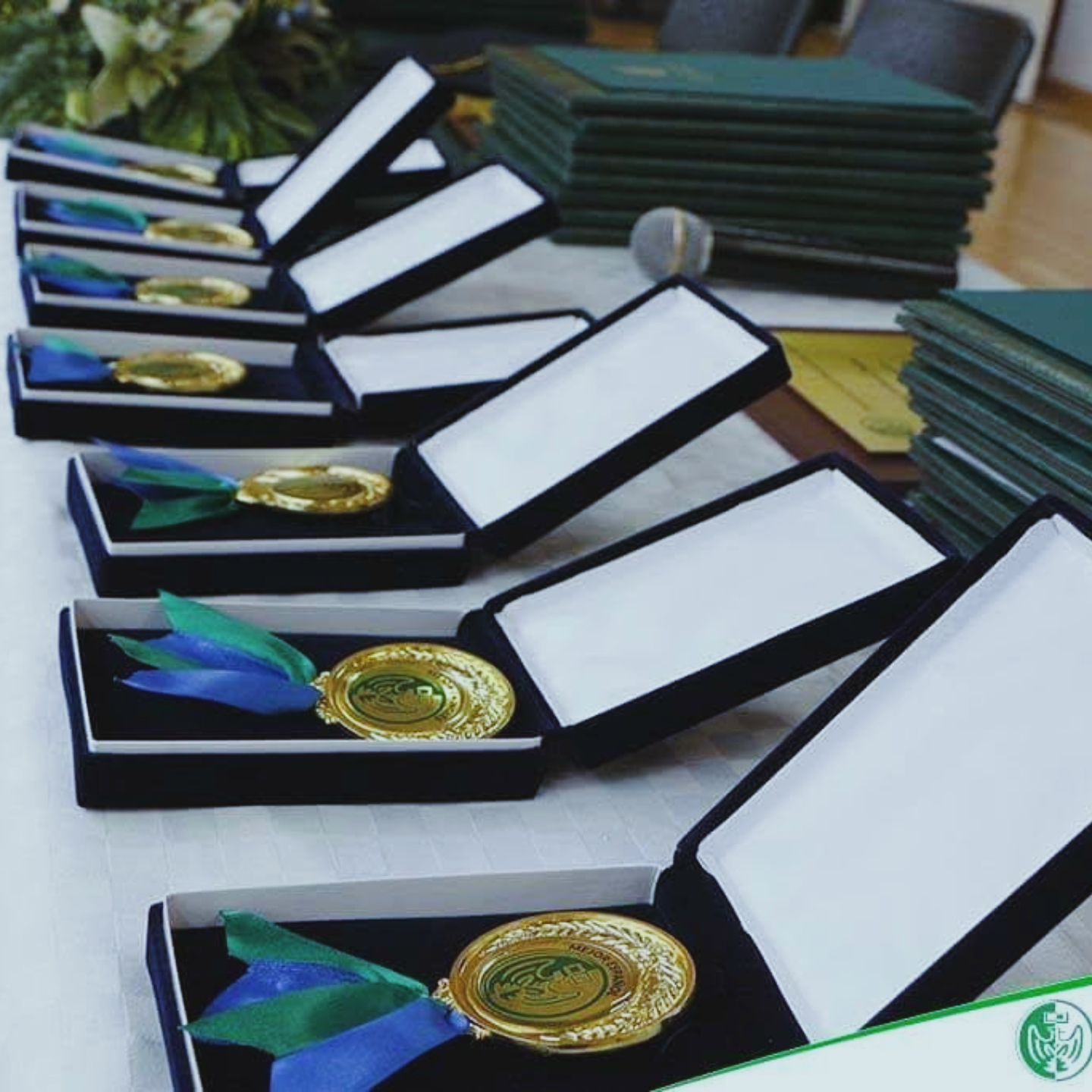 Medallas Institucionales